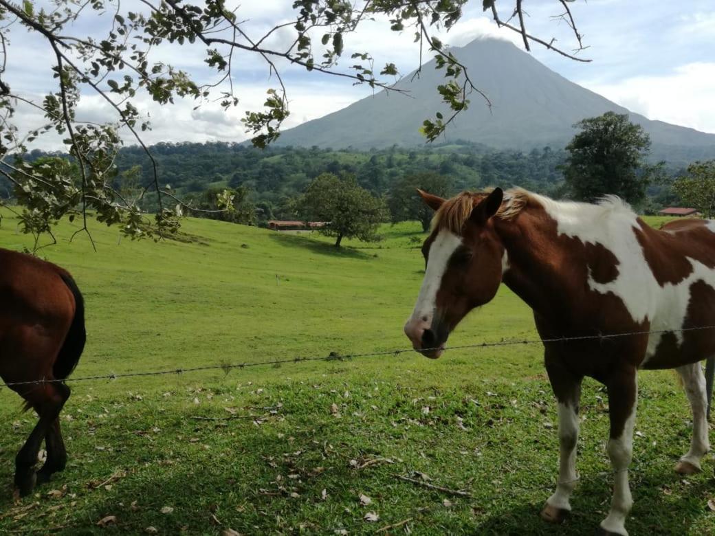 Casona Rustica & Bungalow La Fortuna Екстер'єр фото