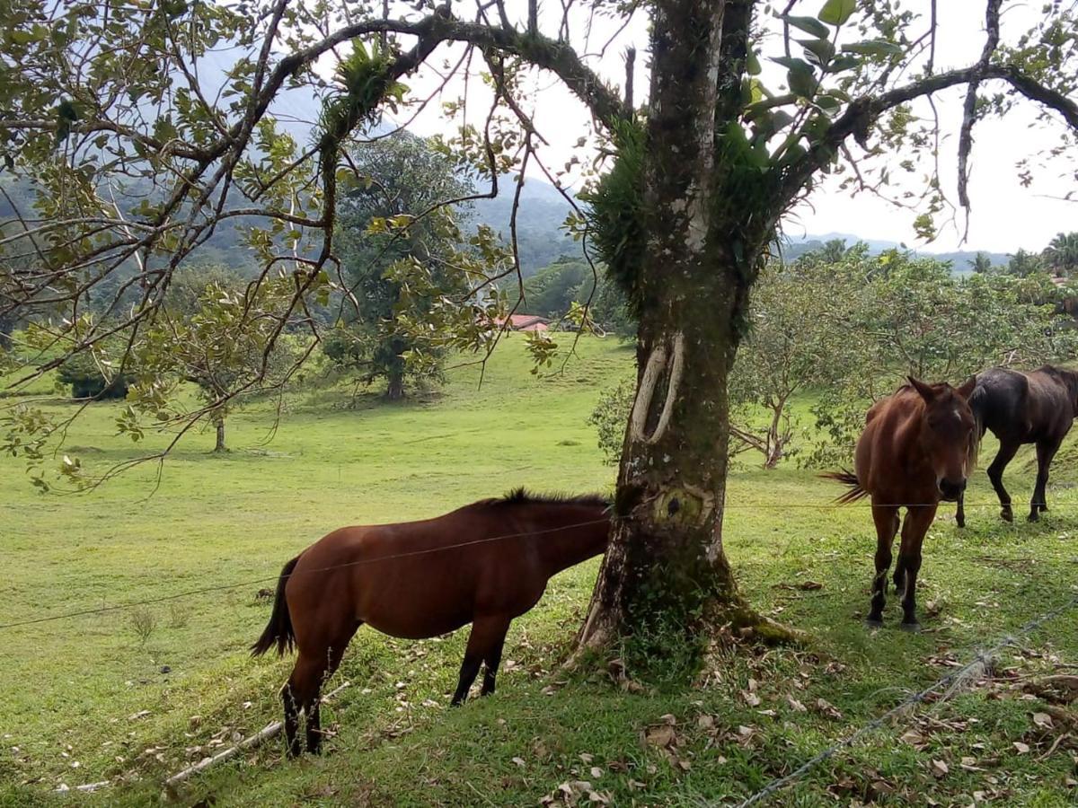 Casona Rustica & Bungalow La Fortuna Екстер'єр фото